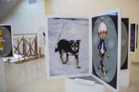 Выставка «Котопес». Фотографии Жанары Каримовой