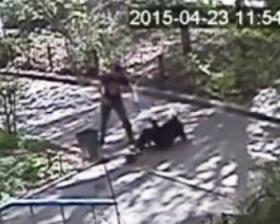 По факту нападения на ветерана в одном из дворов Алматы возбуждено уголовное производство