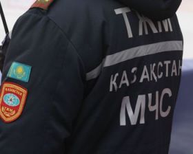 11-классник распылил баллончик в таразской школе — 31 человек пострадал, семеро — в реанимации