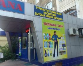 Имангали Тасмагамбетов подверг критике столичные витрины и баннеры