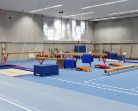 Агентство по делам спорта обещает уволить тренеров, спортсмены которых не покажут результат на летних Азиатских играх