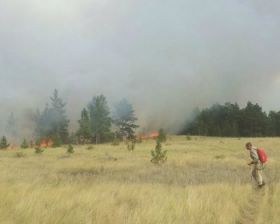 Пожар площадью 100 га в лесном хозяйстве «Кенес» Акмолинской области локализован — Комитет по ЧС